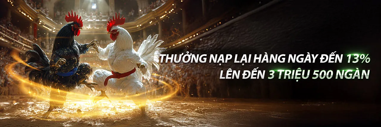 Sân đấu đá gà trực tiếp kịch tính